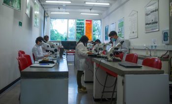 Laboratorio De Botánica